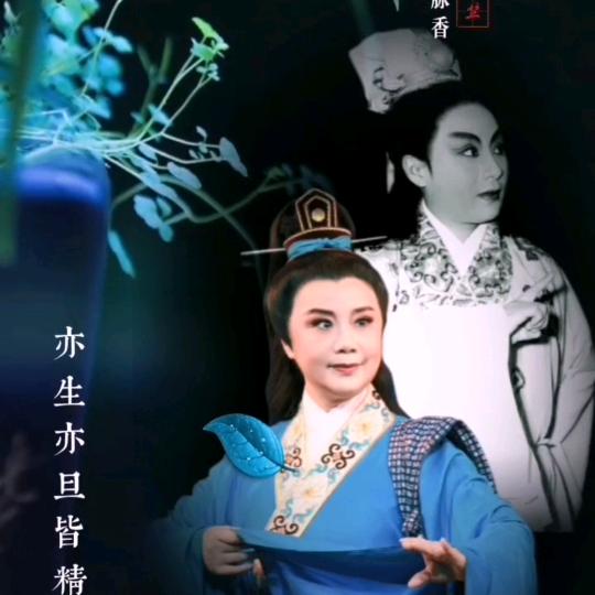 越剧竺派视频剪辑❤️