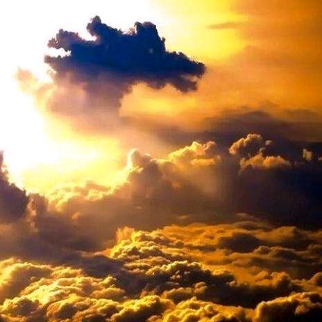 🐅雲🐉