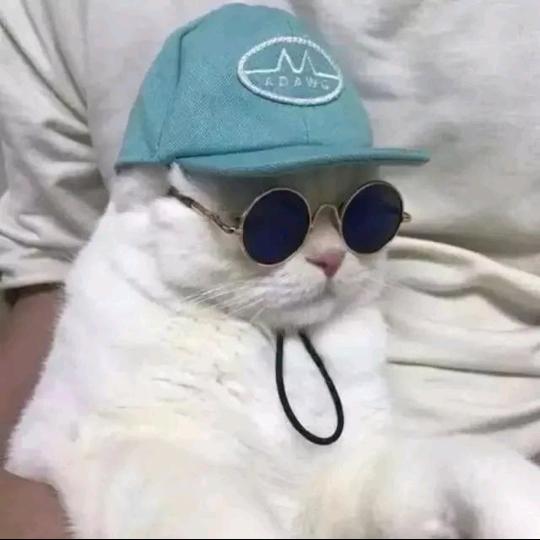飞哥