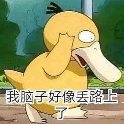 知知影视