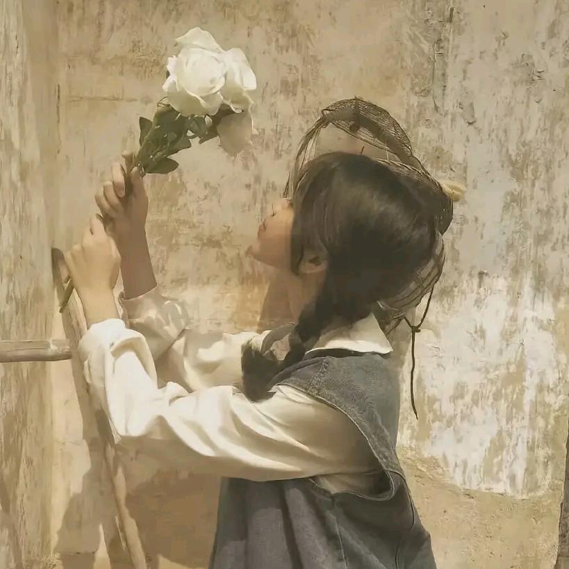 慧美书籍