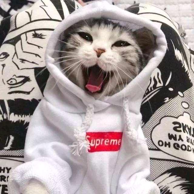 比奇堡