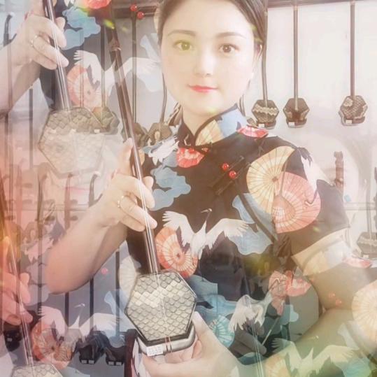 苏州工艺，李扬二胡