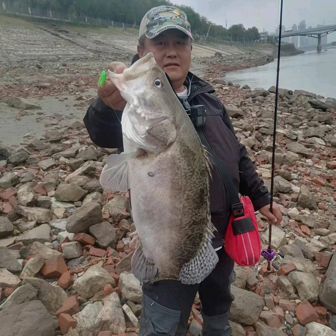武汉路亚肥豹