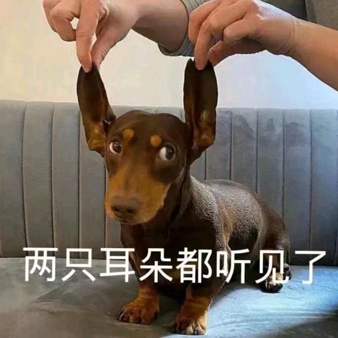 谭先生