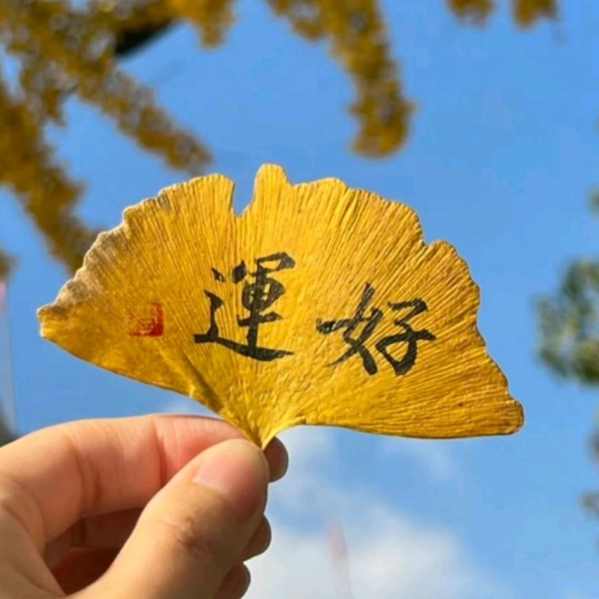 我就是我的我
