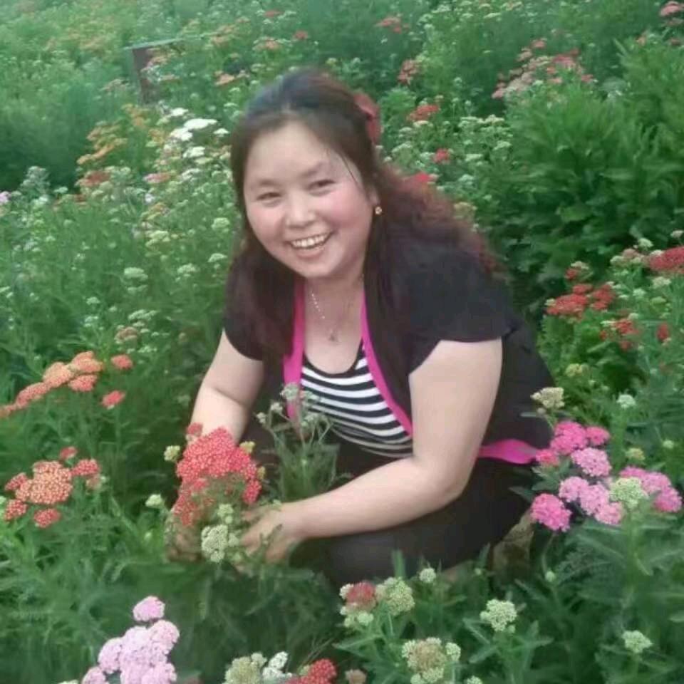 荣芬窗帘布艺