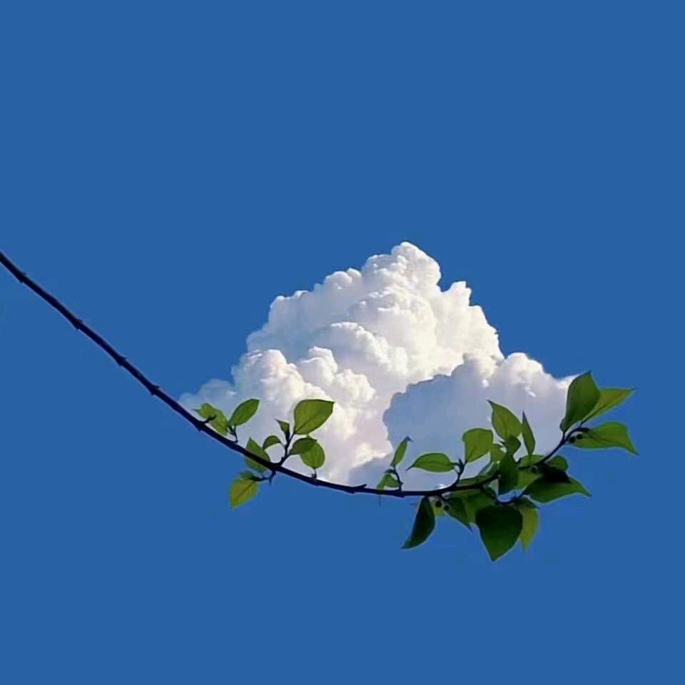 蓝色天空