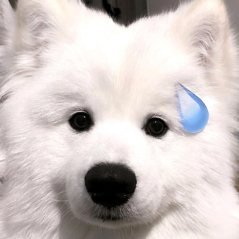 ㅍ_ㅍ