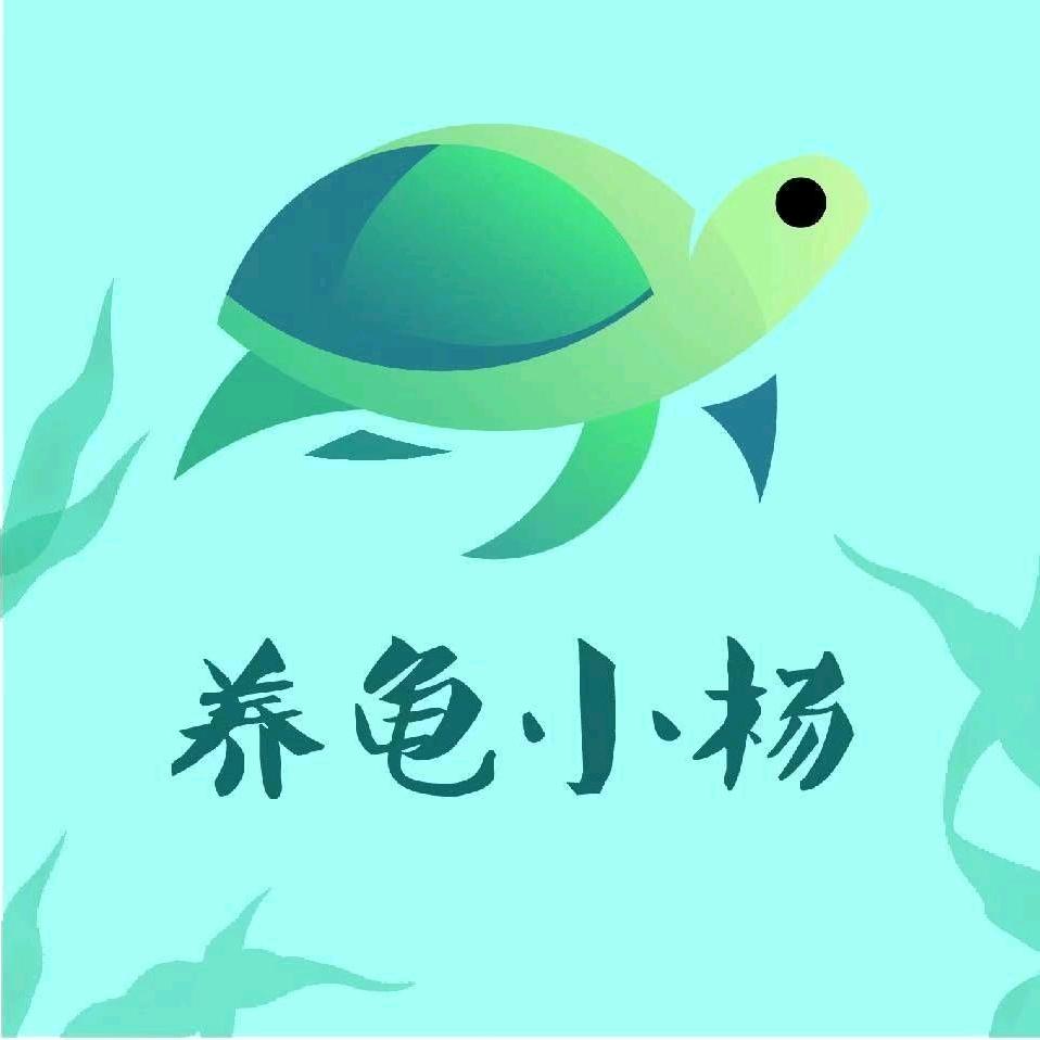 养龟小杨（收龟）