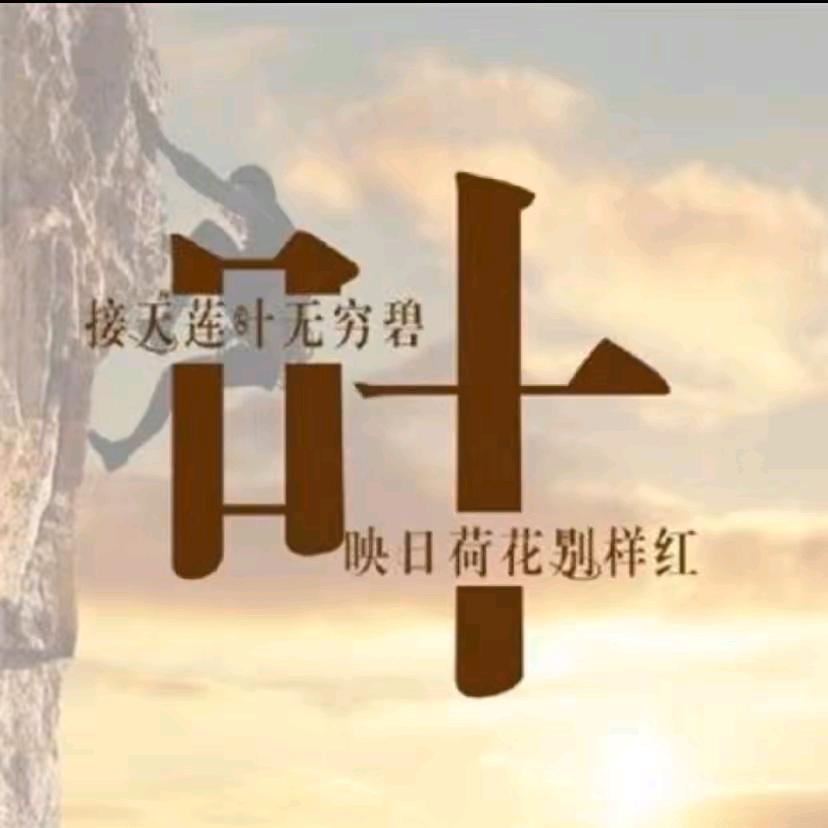 憨态可掬的叶🙉🙉