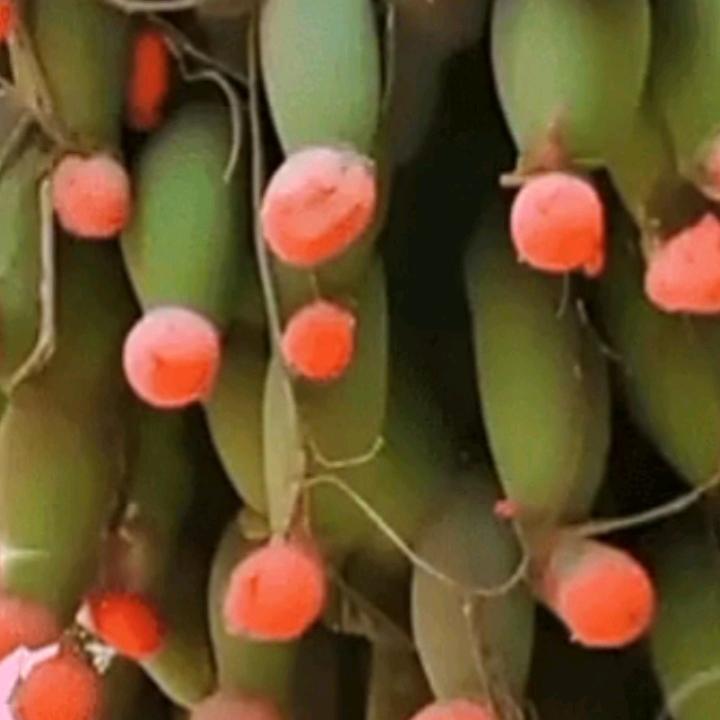 蓝天云，