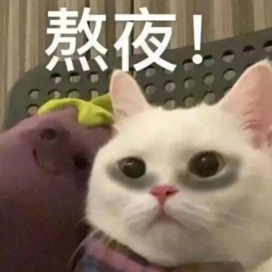 王支微微