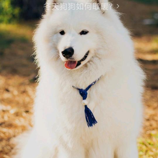 快乐码