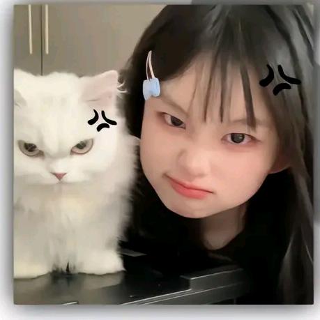 想你啦