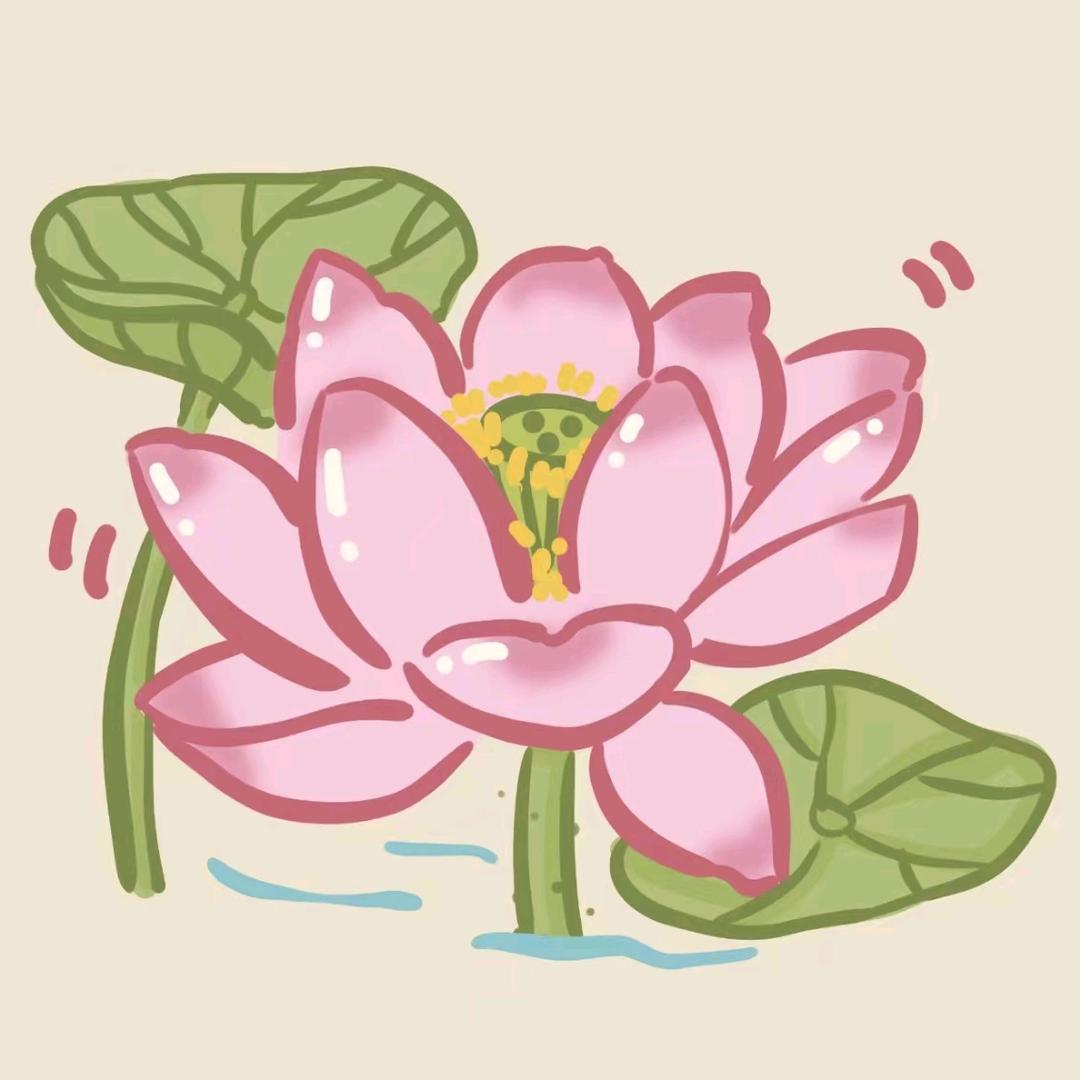 莲子
