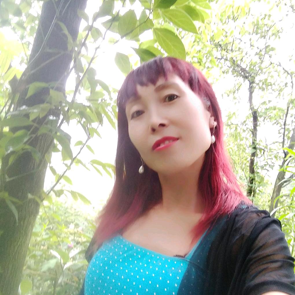 杨柳小号