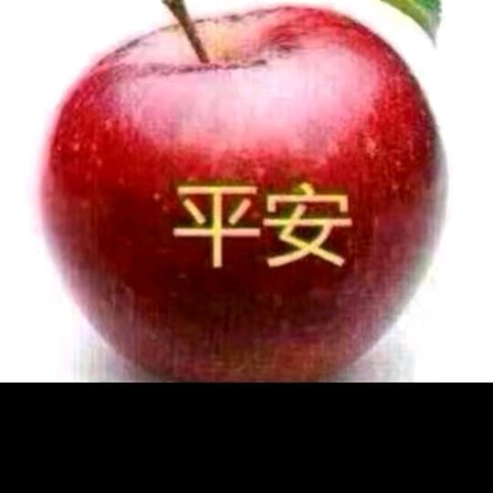 老实人