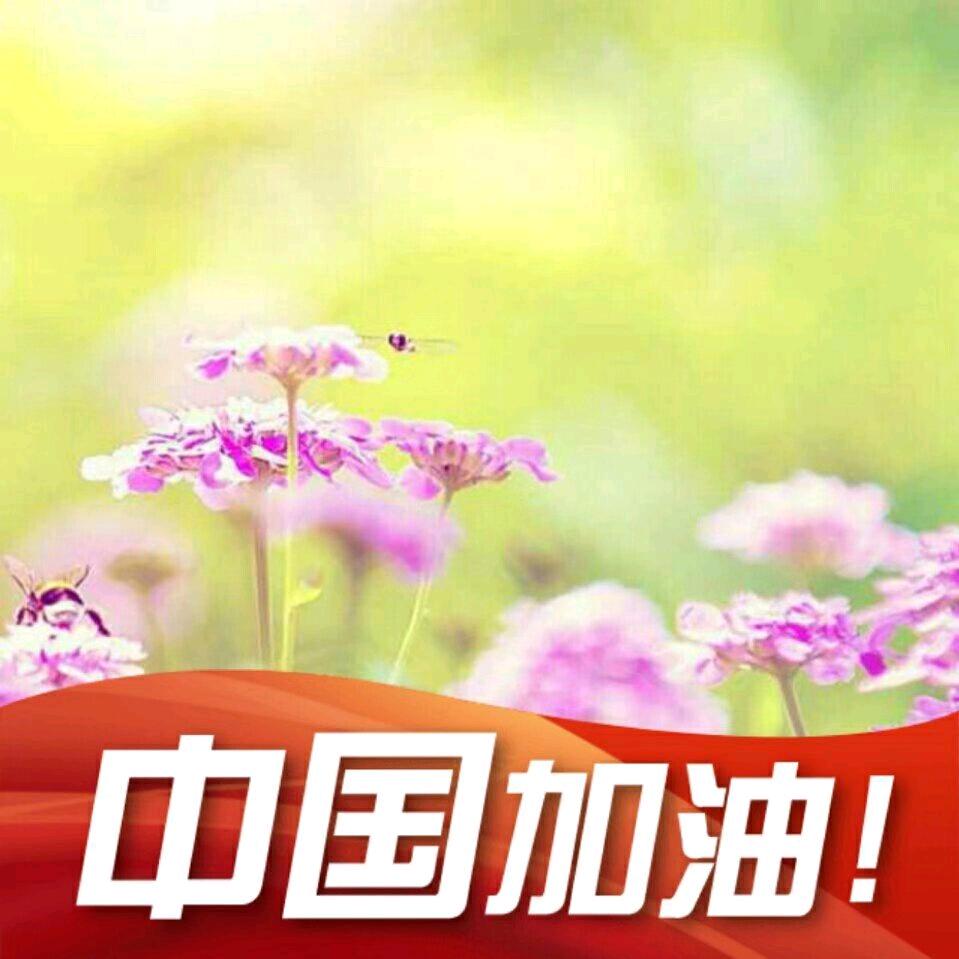 风落时温柔
