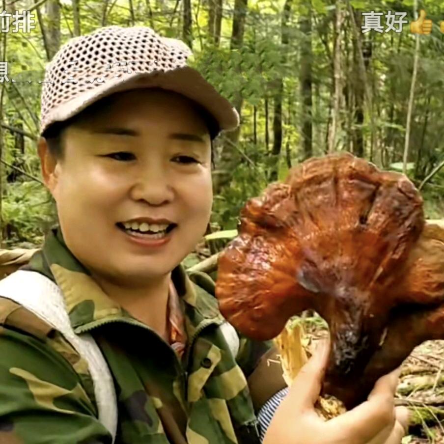 红姐（户外踩山货）