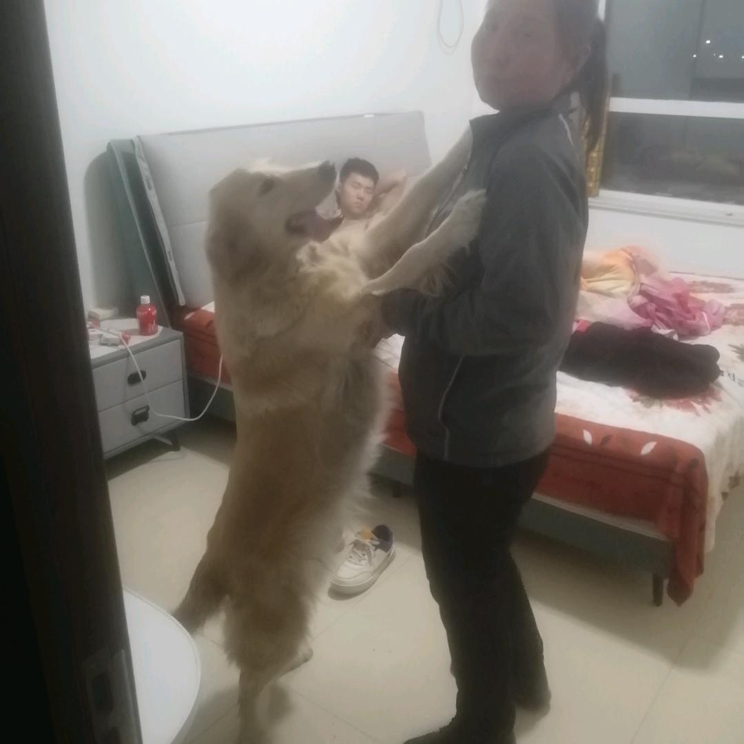 `小龙
