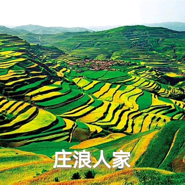 庄浪人家