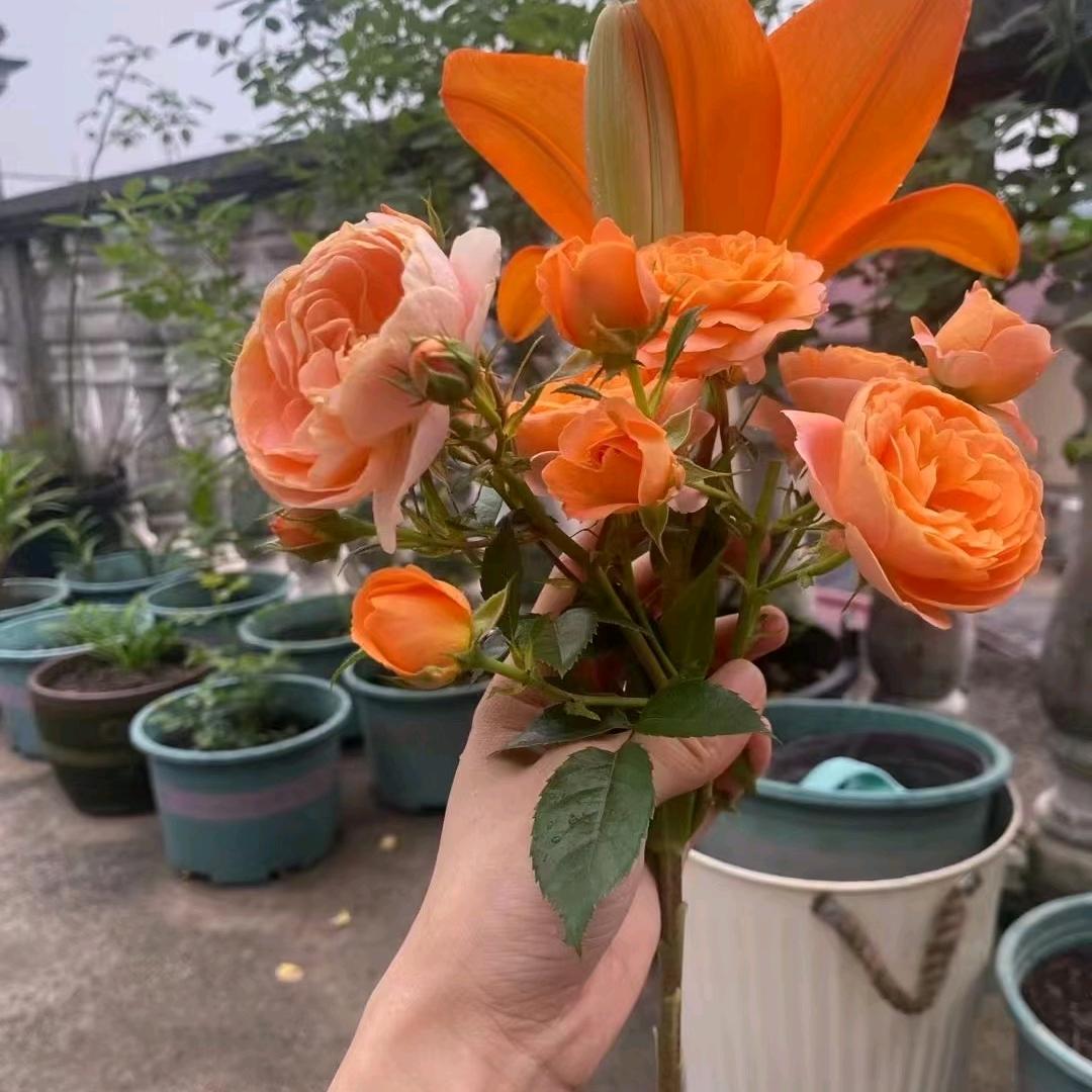 石修水