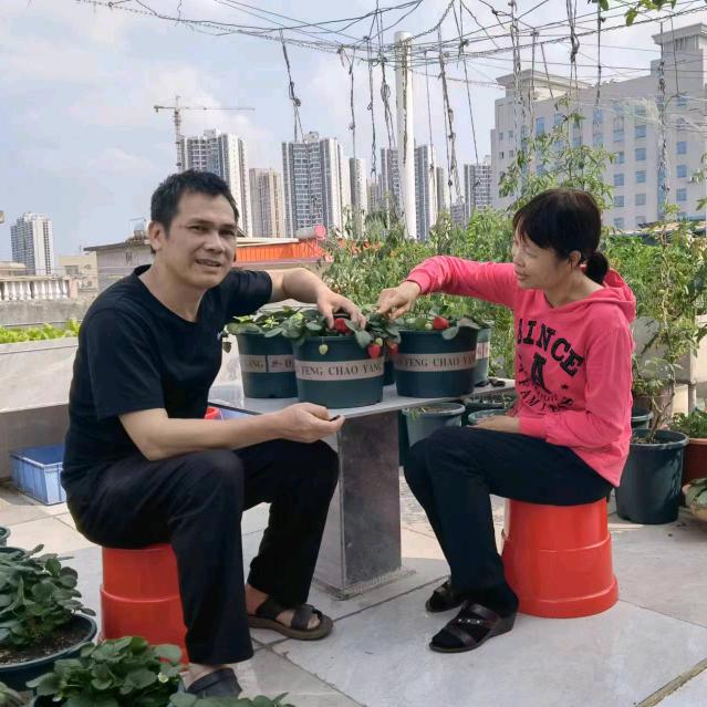三妹夫妇的楼顶菜园