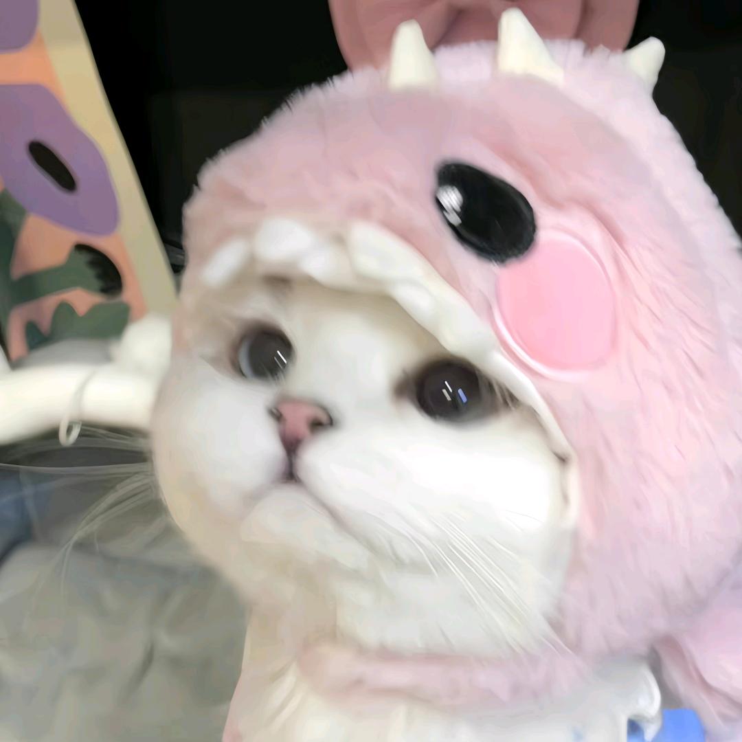 可可可可可