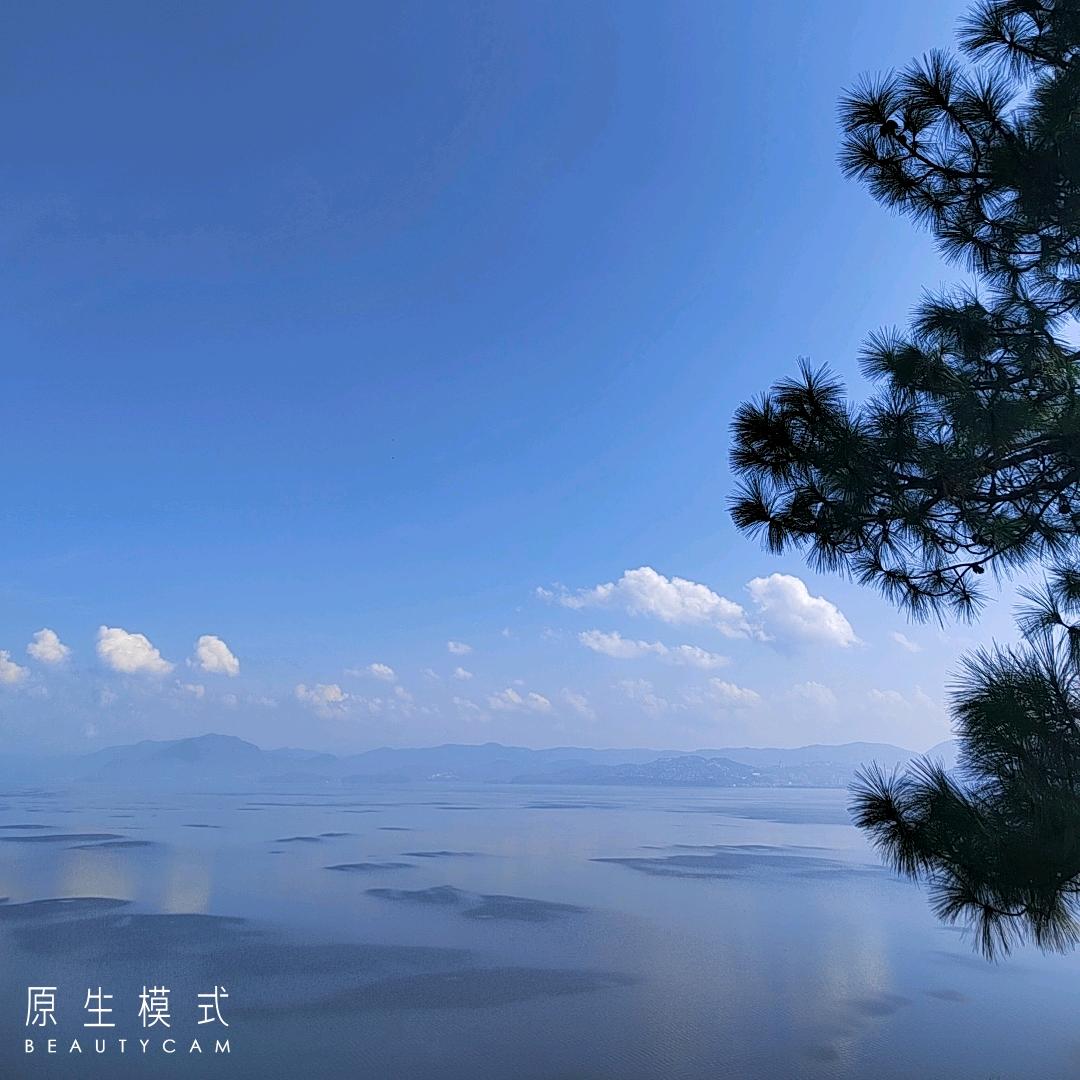 梦在彼岸
