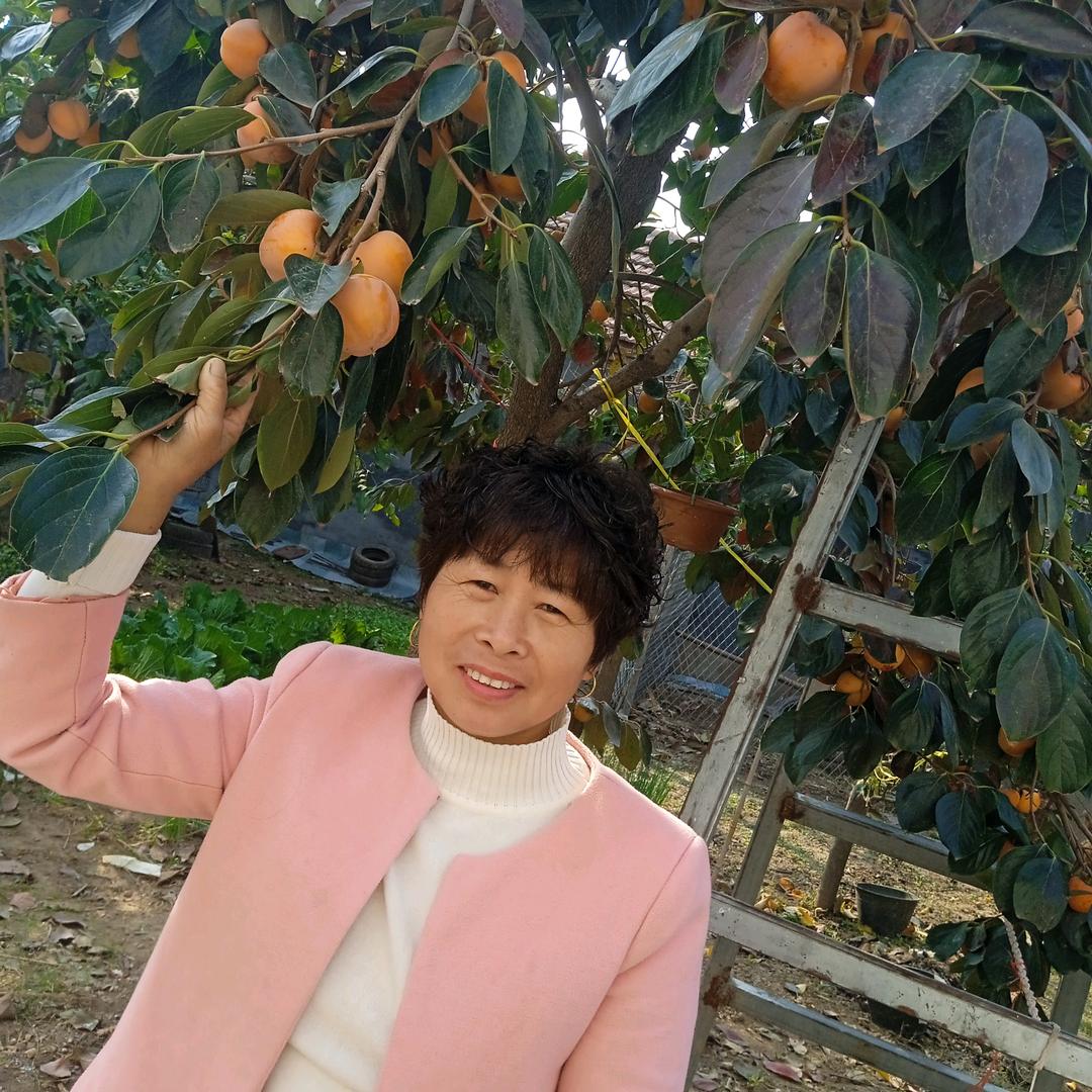 恩旭奶奶