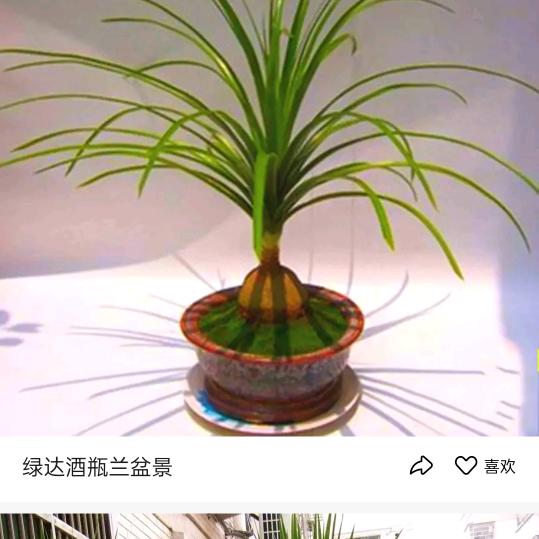 黄积善