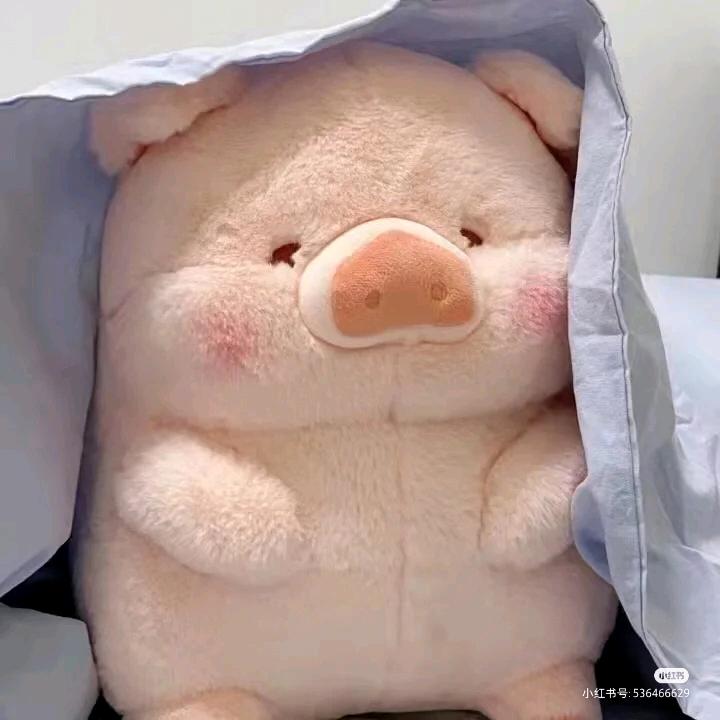 一只呲花