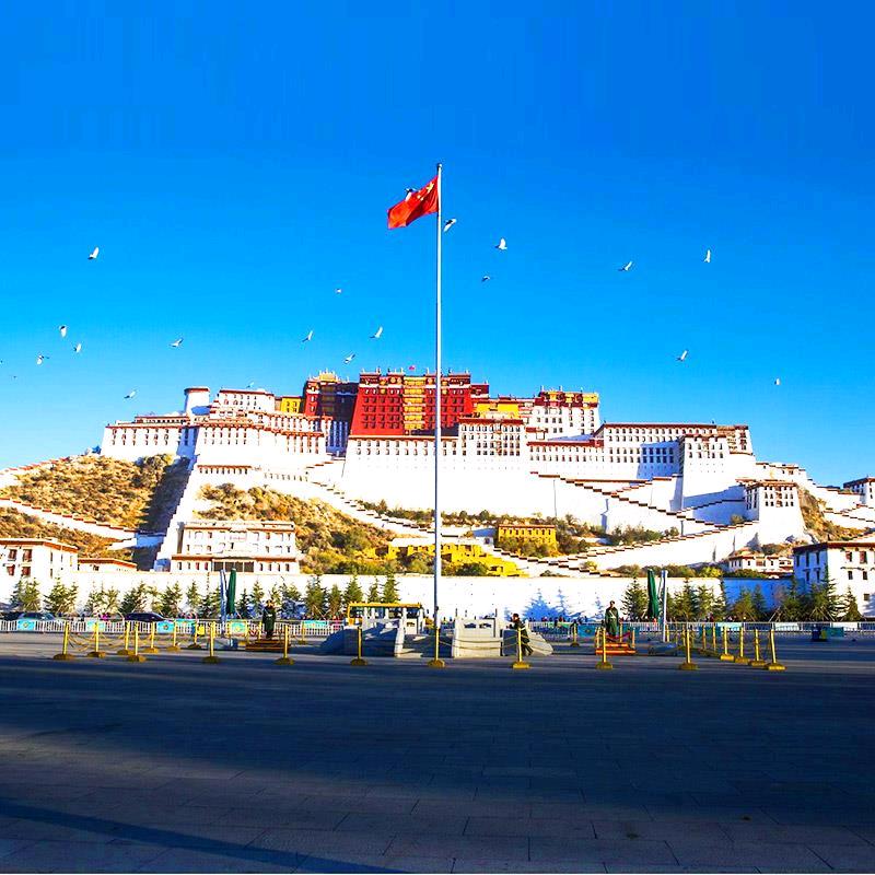 西藏圣源雪鸽旅行社
