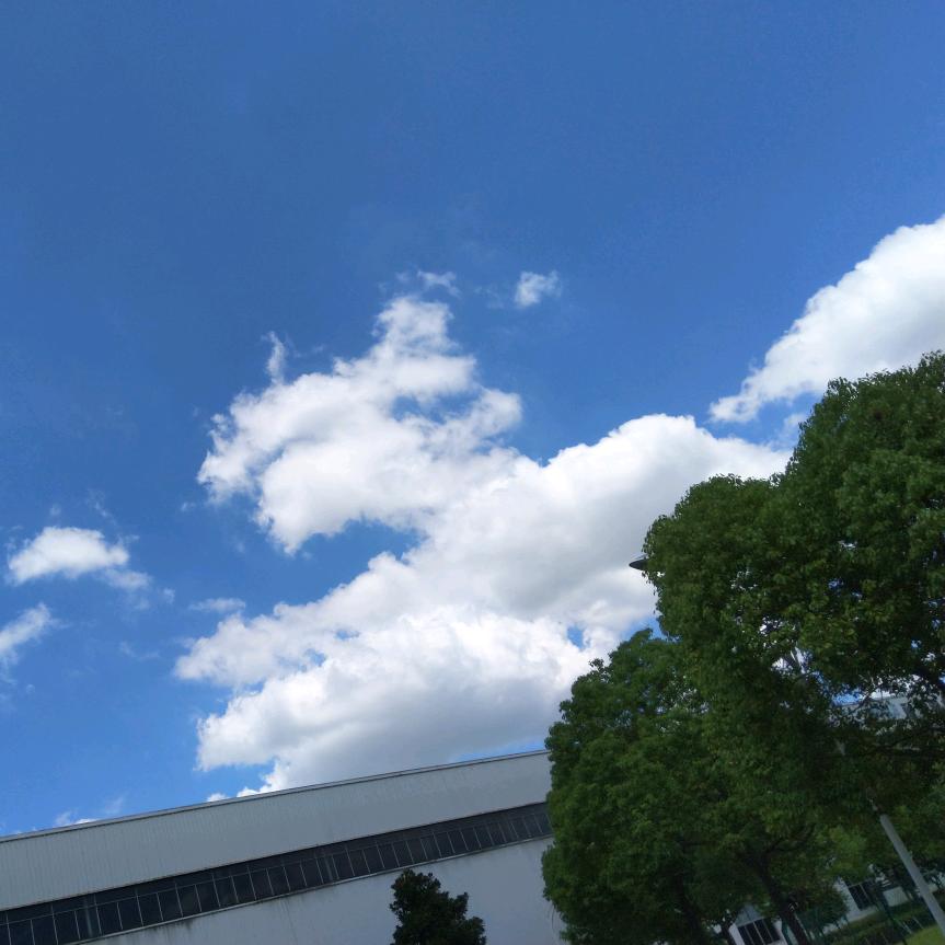 莫逆