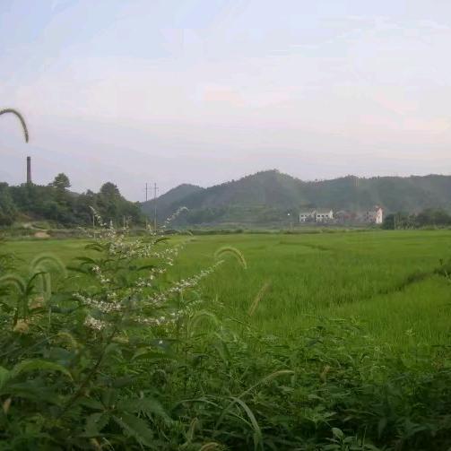 潇鹏晋明