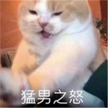 我爱吃炒粉