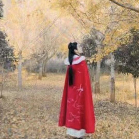 江湖无情人