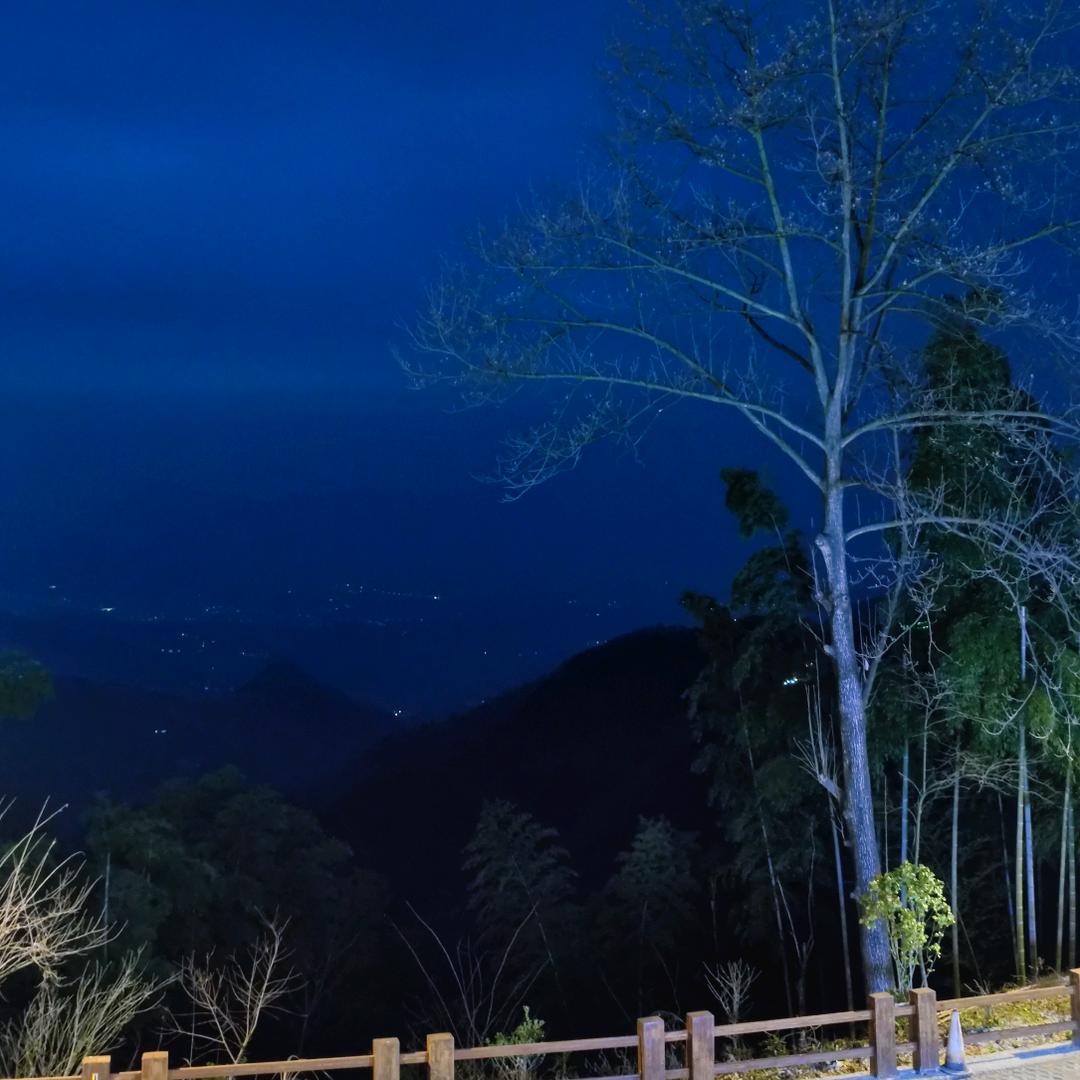 夜色山岚