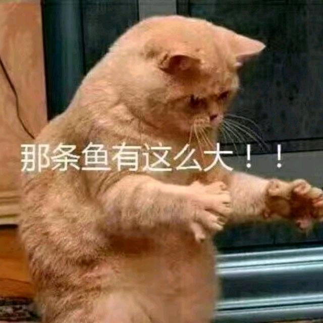小李飞钩
