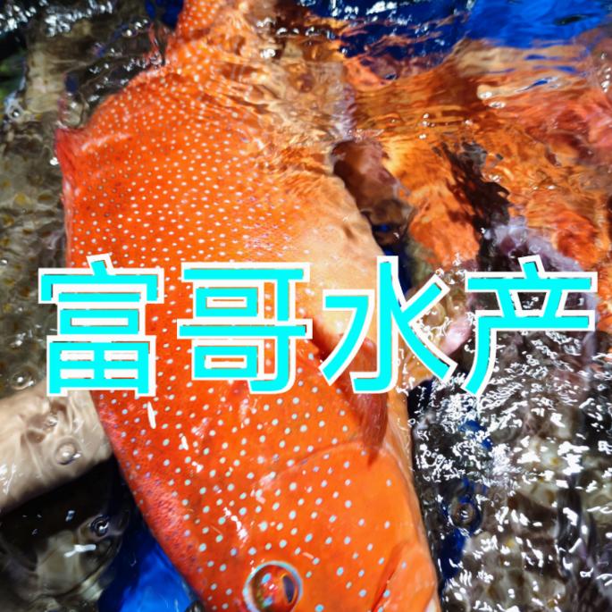 富哥水产（全是野货）
