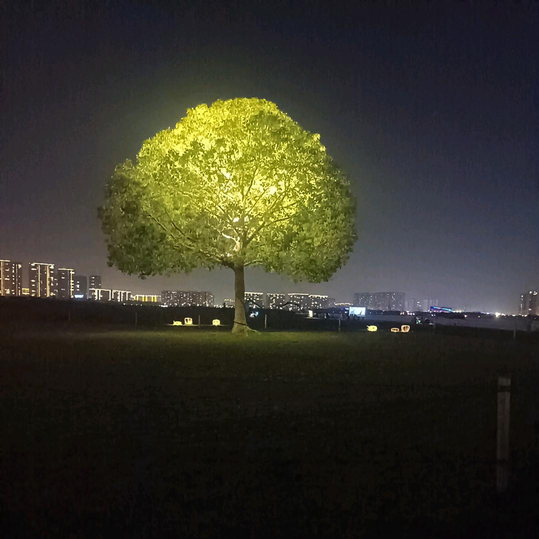 南山夜读