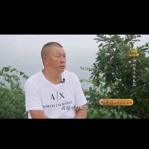 天纯农旅