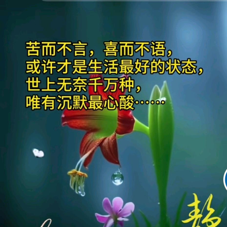 天使＿梦之吻