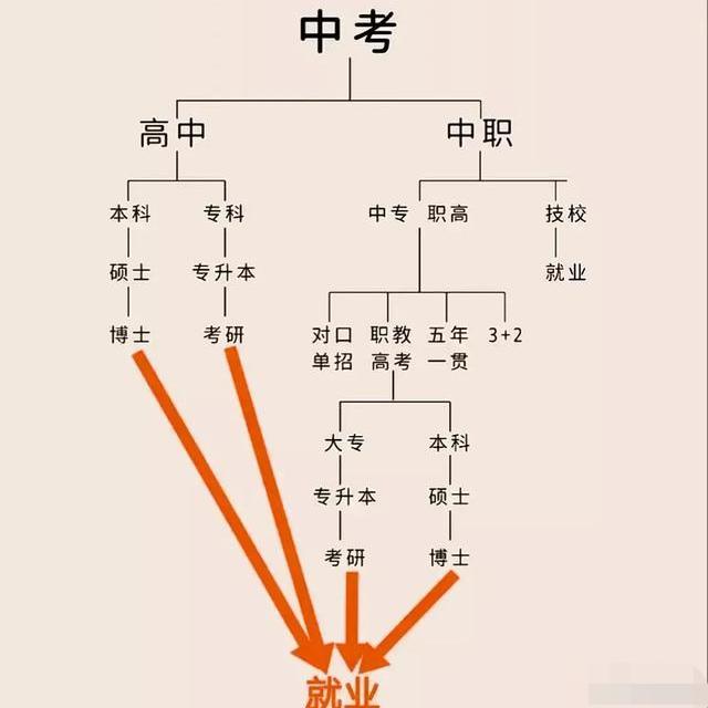 新梦想教育卓老师