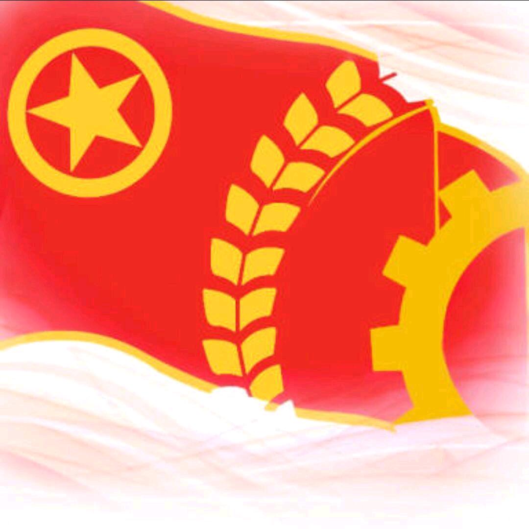 青春桂电