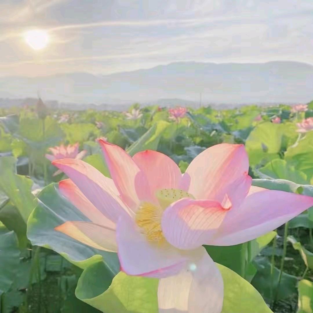 清清🍎