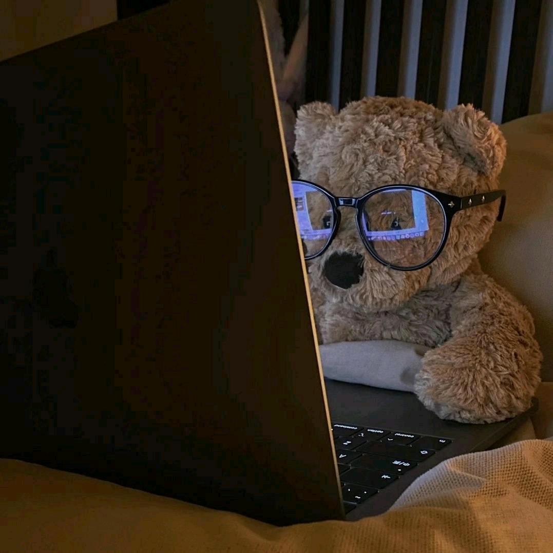 熊熊🐻