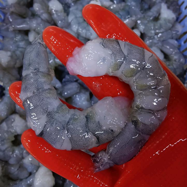 恒胜汕头市恒丰胜水产品有限公司专卖店