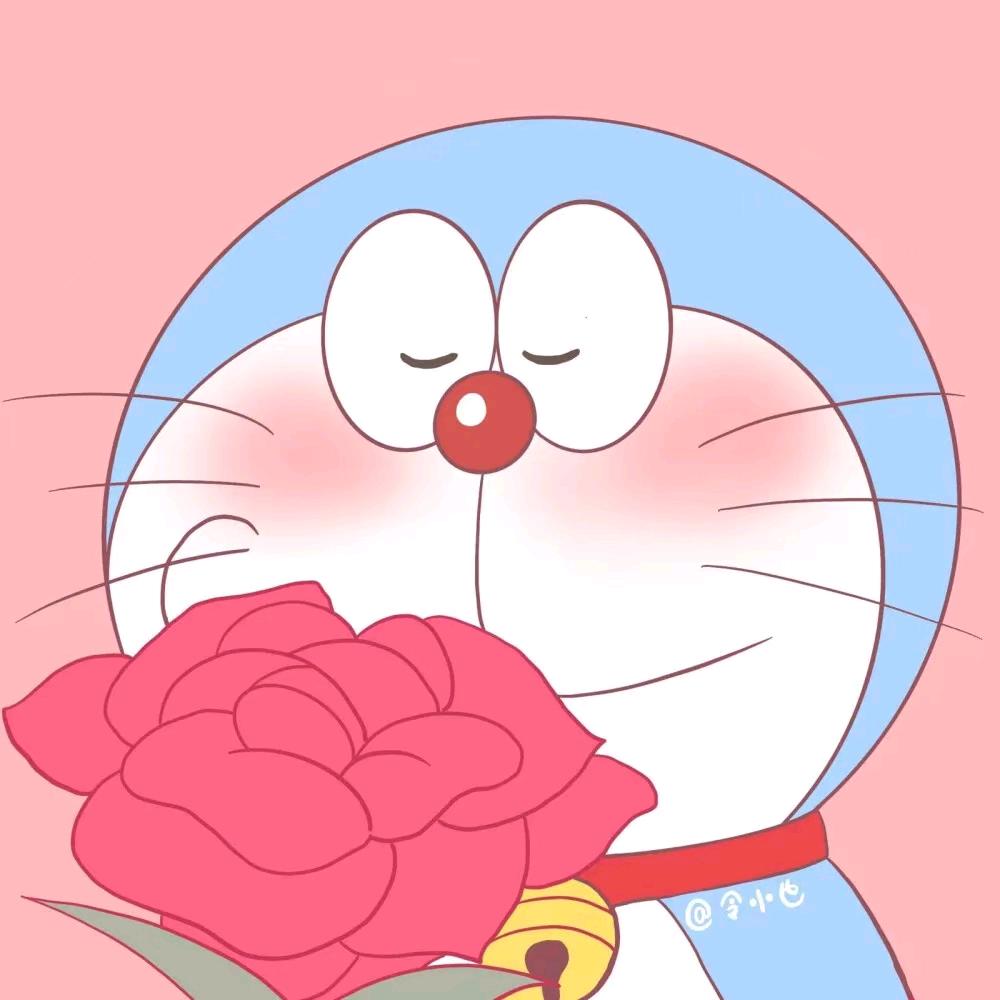 快乐小🐷